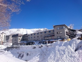 Отель Hotel Ichibokaku  Уезд Симотакаи